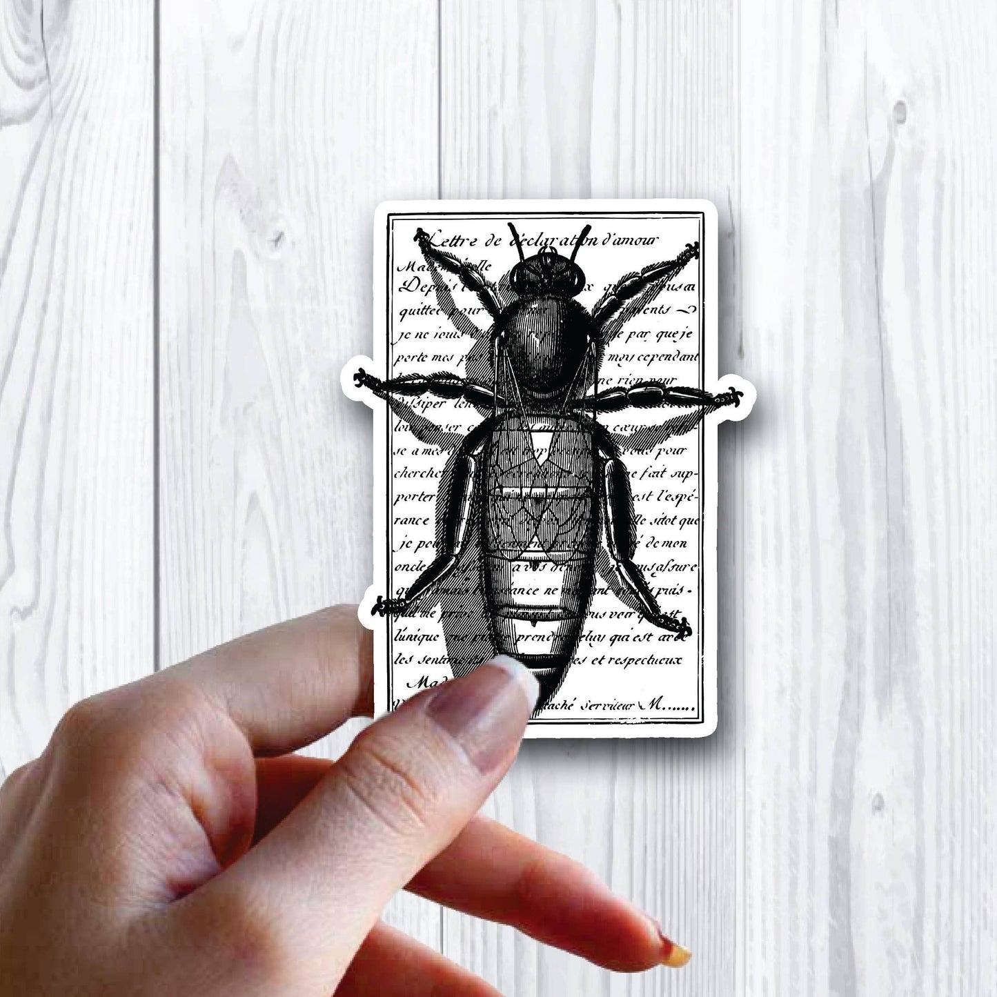 Bee Letter French Cursive Writing Sticker