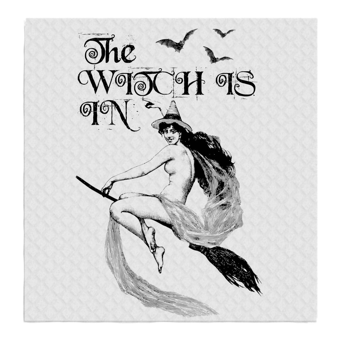 The Witch is In Halloween SWEDISH DISH CLOTHS Kitchen