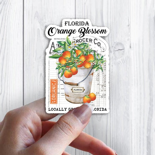 Florida State Flower Orange Blossom Souvenir Sticker