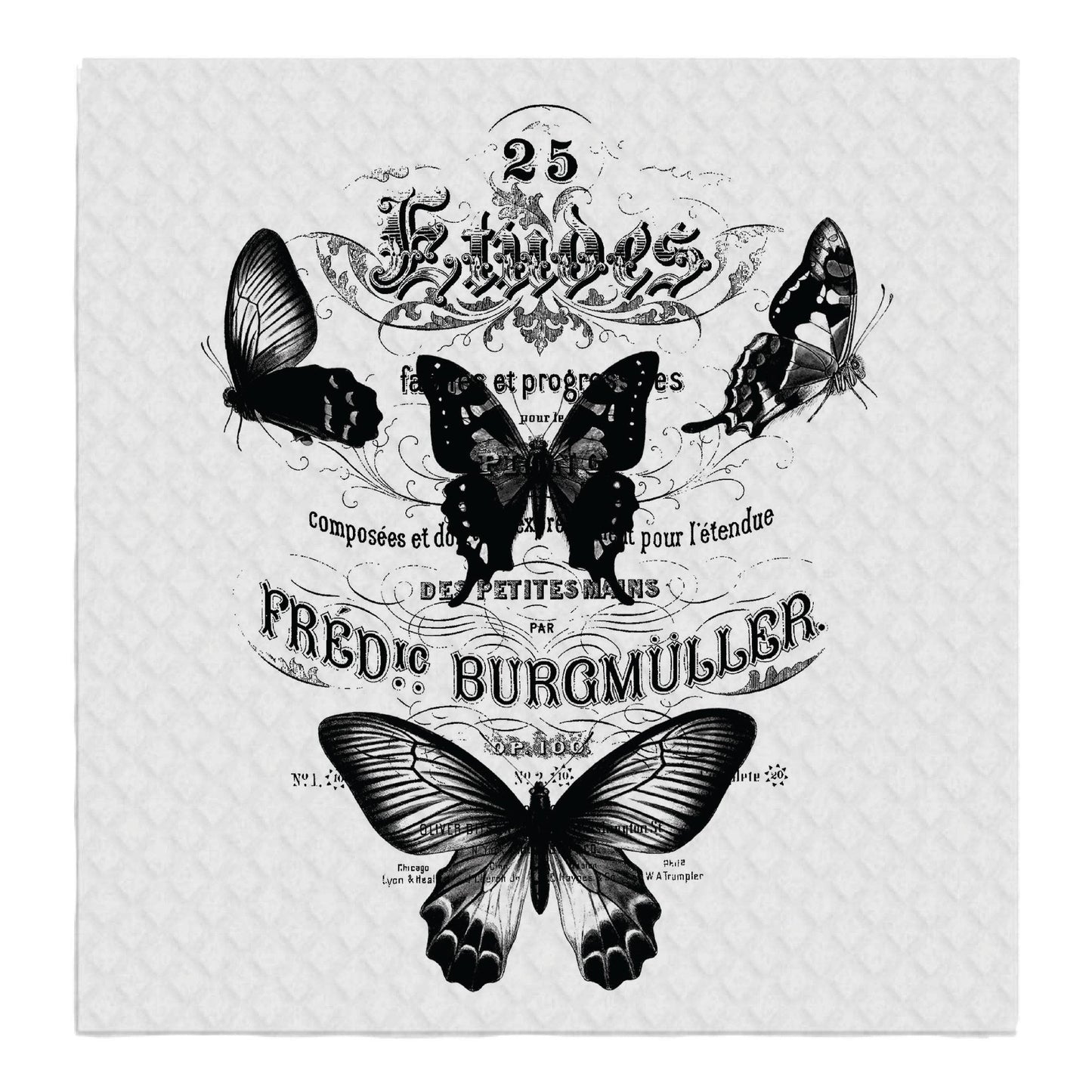 Butterflies French Fancy Writing, SWEDISH DISH CLOTHS
