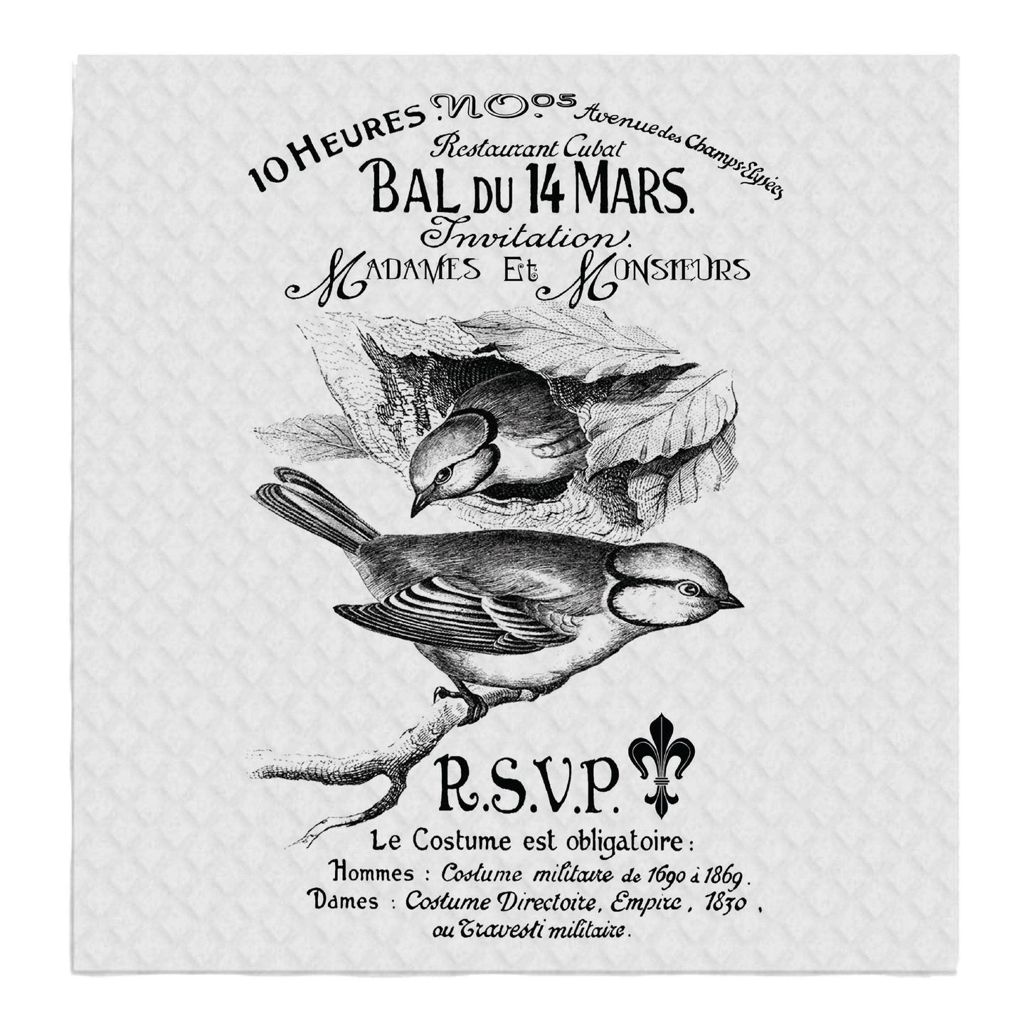 Birds French RSVP Fancy Writing, SWEDISH DISH CLOTHS