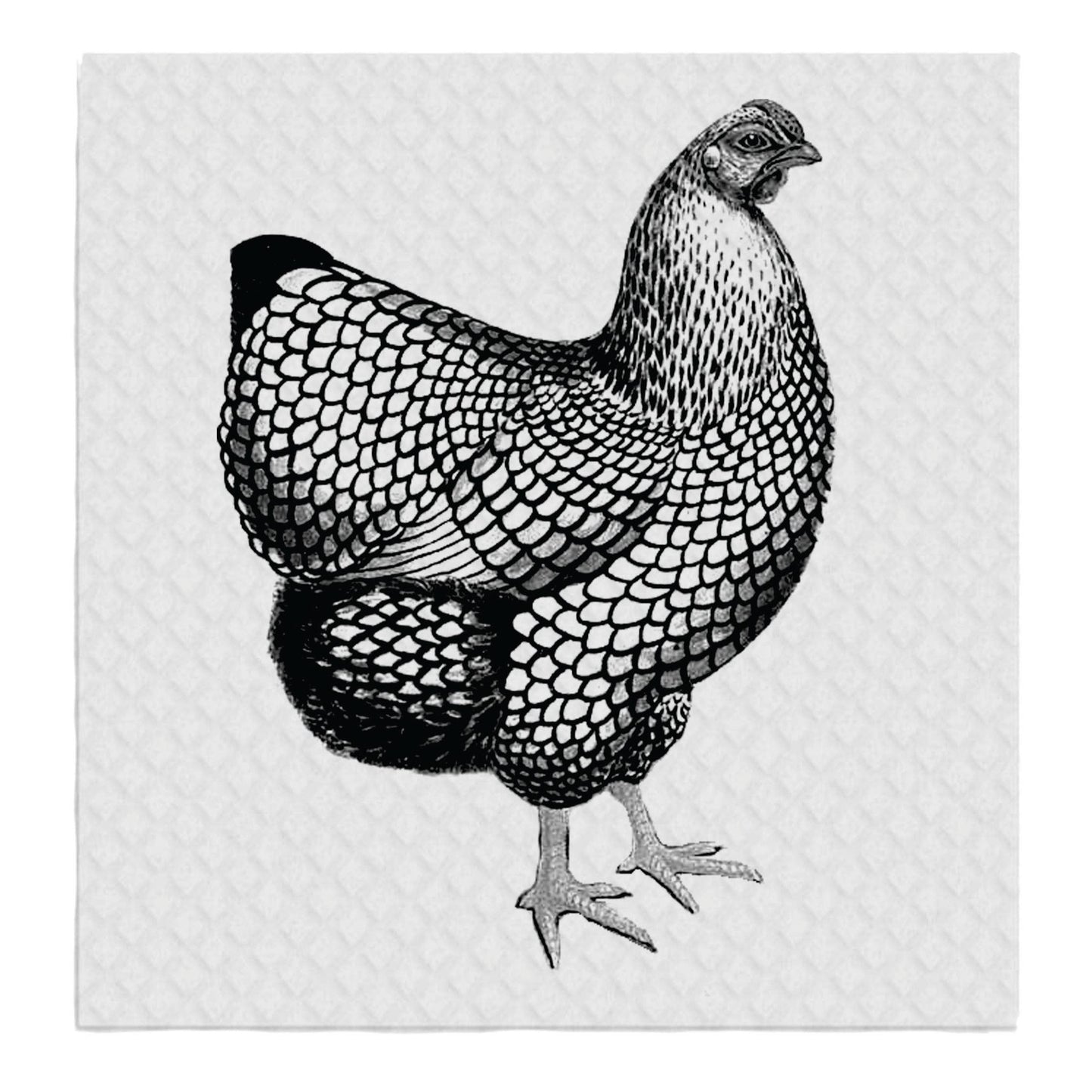 Swedish Dish Cloth