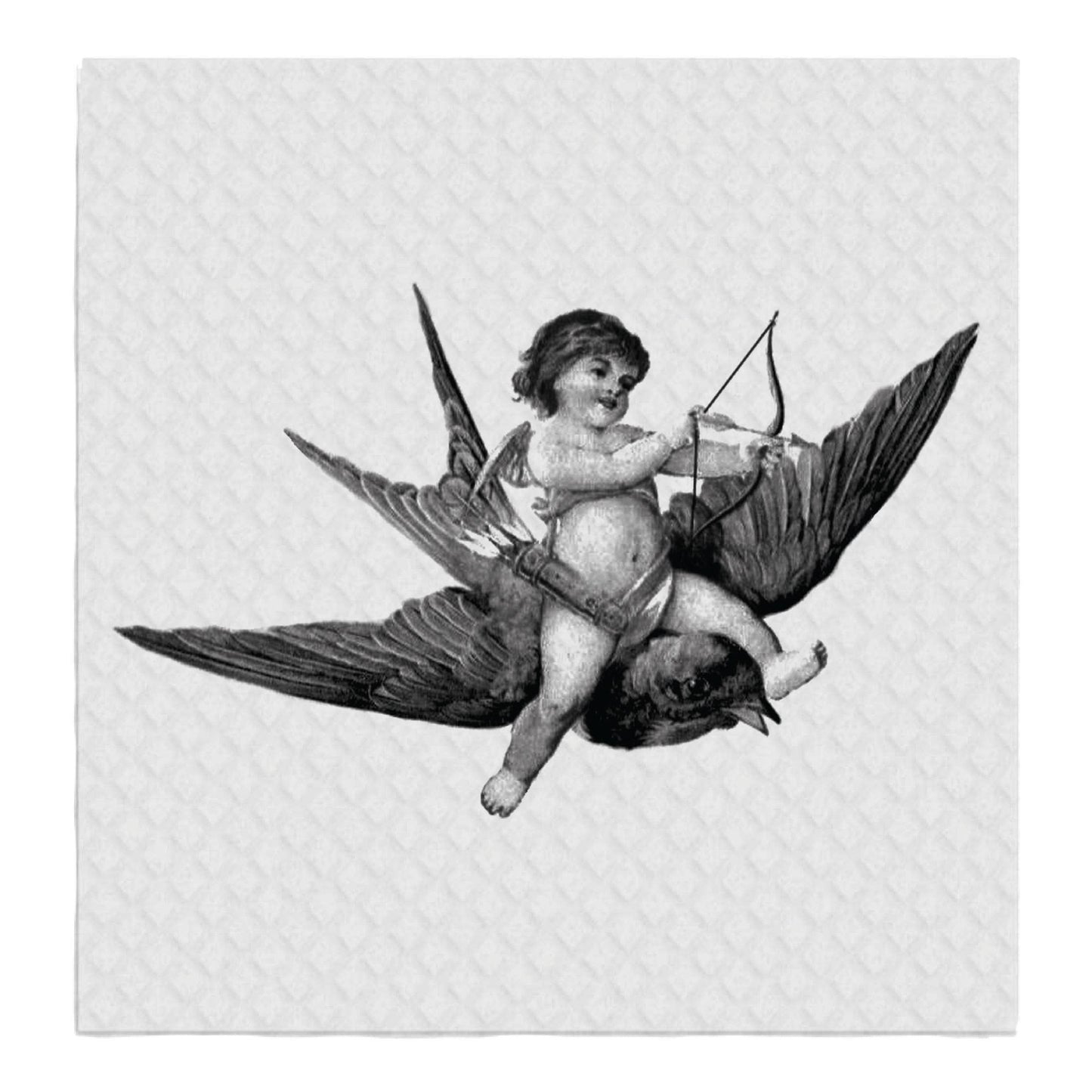 Bird Baby Cupid, SWEDISH DISH CLOTHS