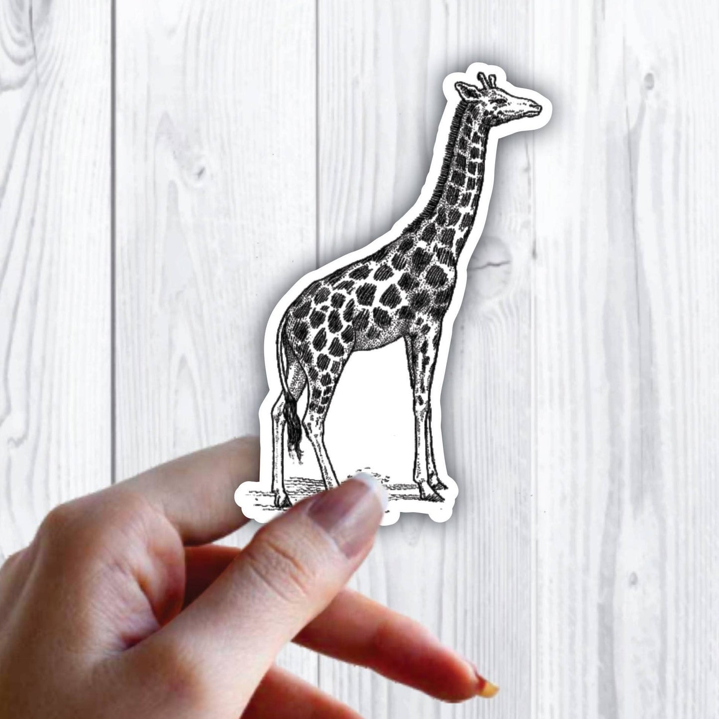 Giraffe Zoo Animal Art Sticker