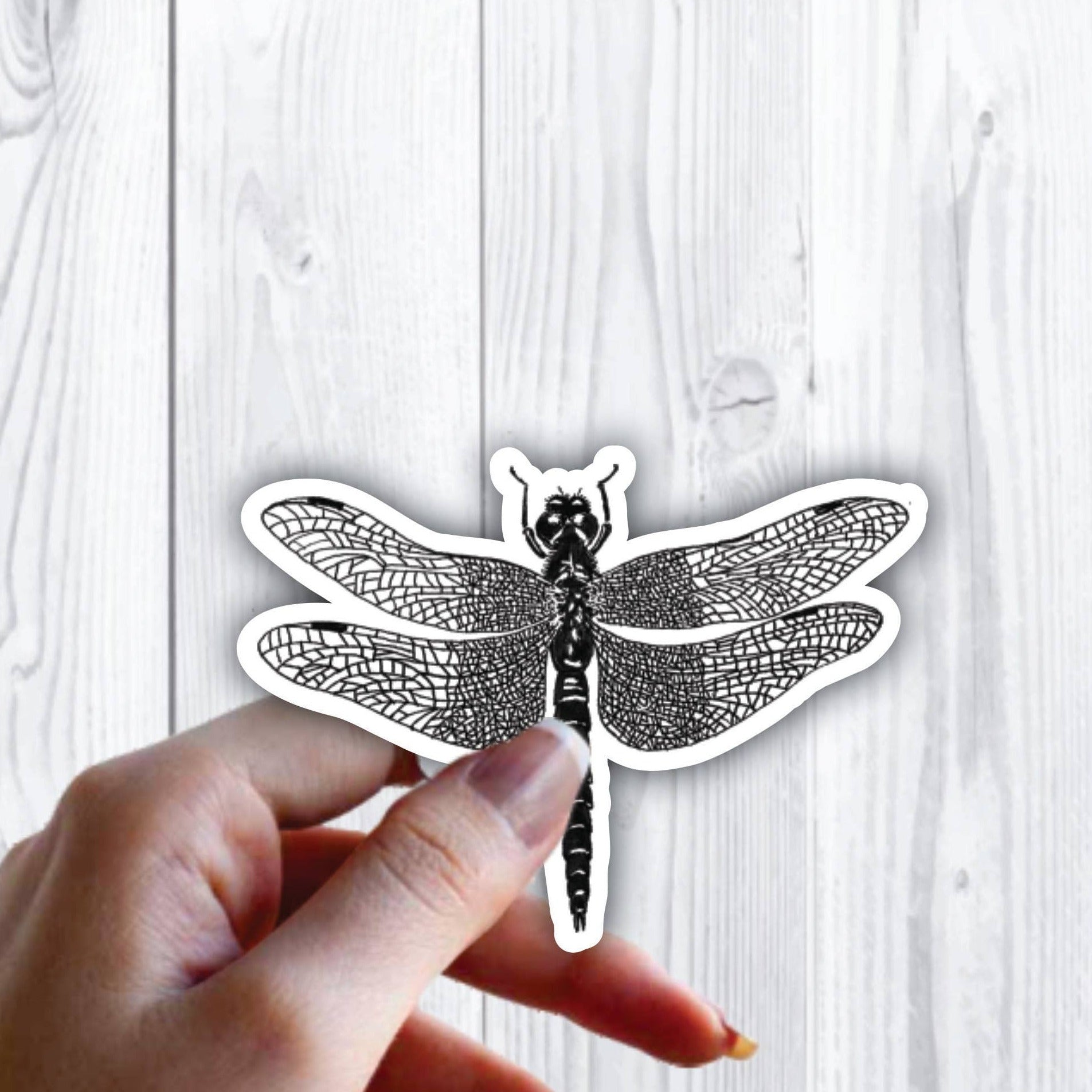 Dragonfly Bug Insect Cute Art Sticker