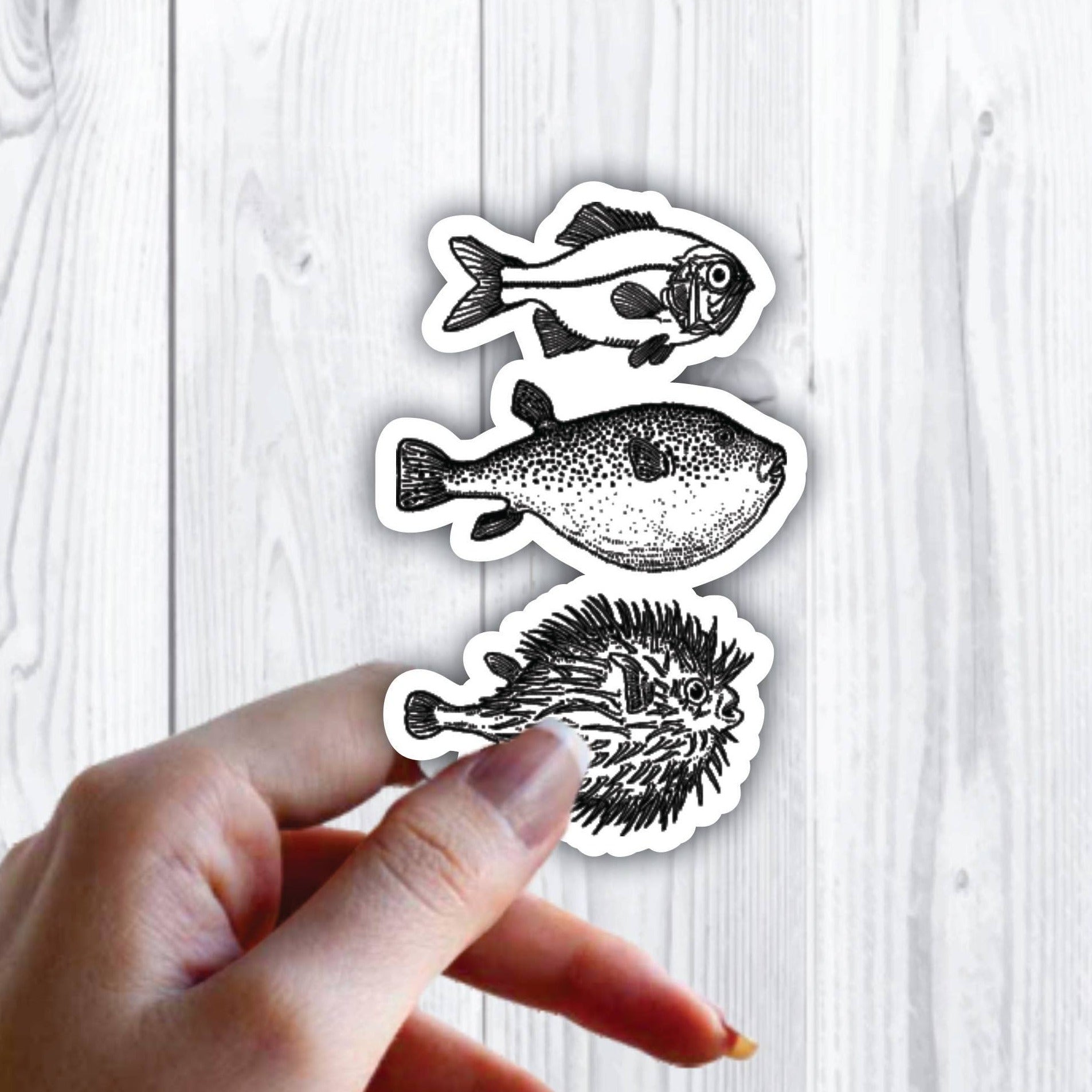Pufferfish Ocean Animals Fish Sticker