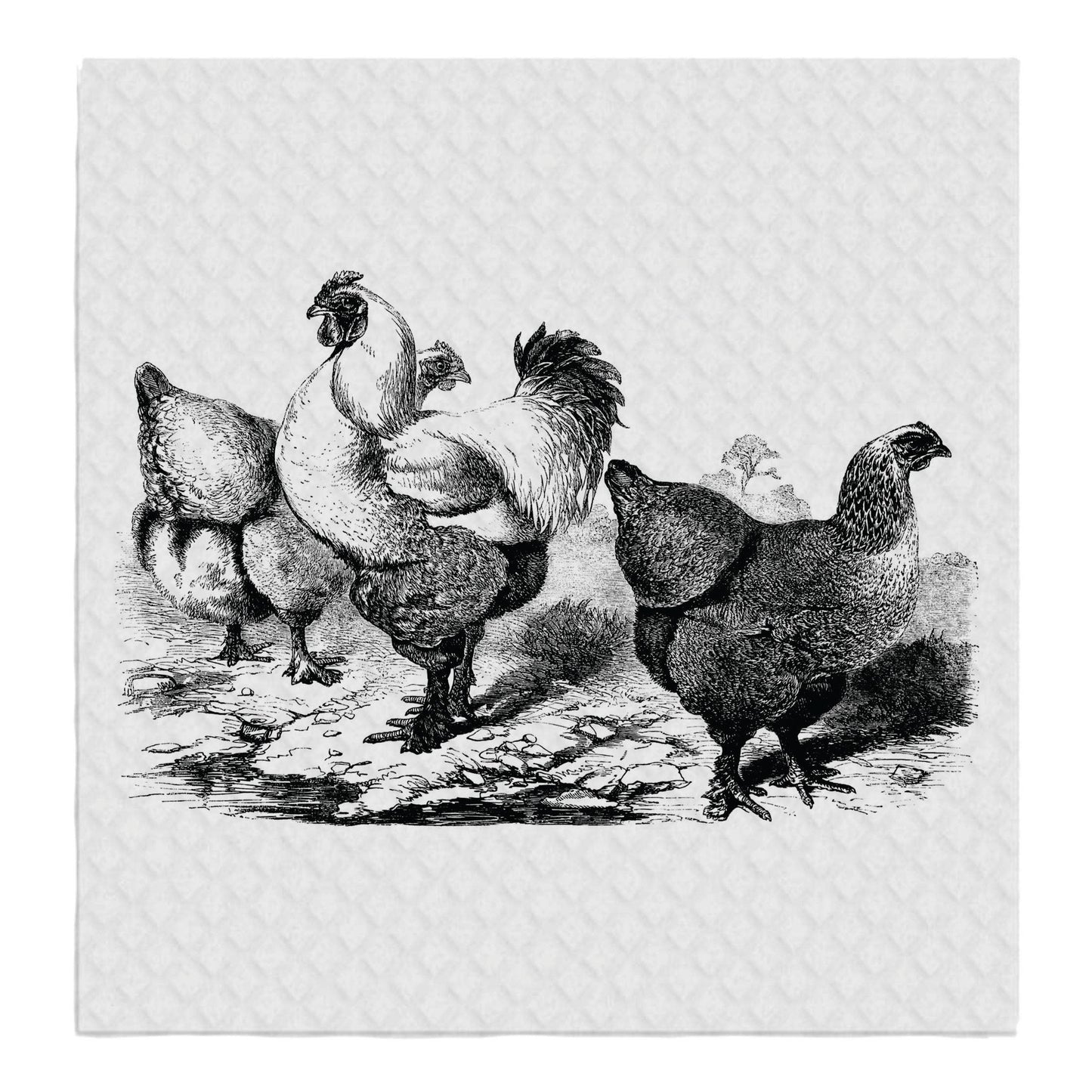 Swedish Dish Cloth