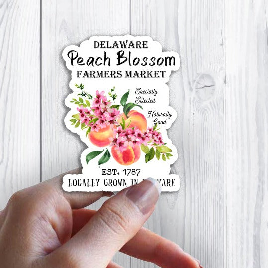 Delaware State Flower Peach Blossom Souvenir Sticker
