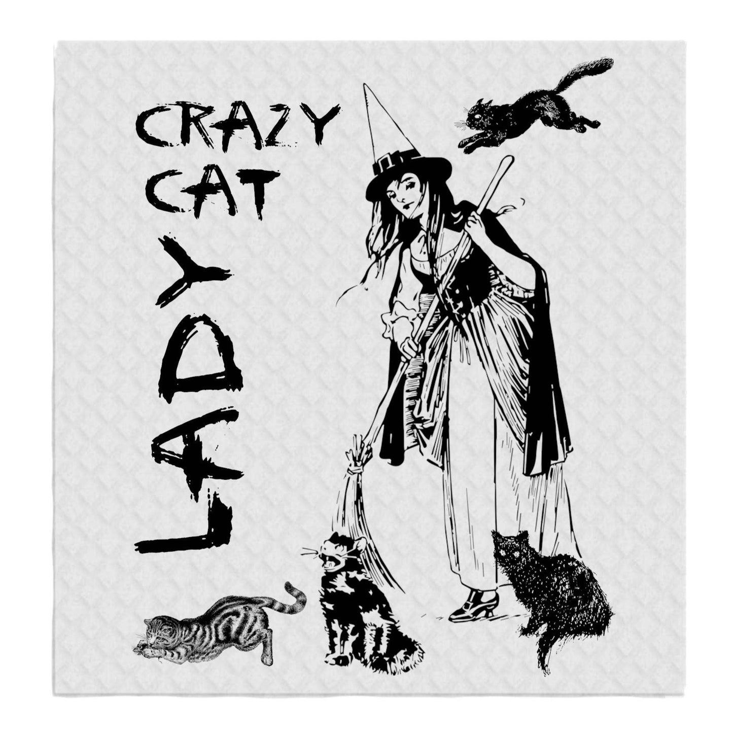 Crazy Cat Lady Witch Halloween SWEDISH DISH CLOTHS Kitchen