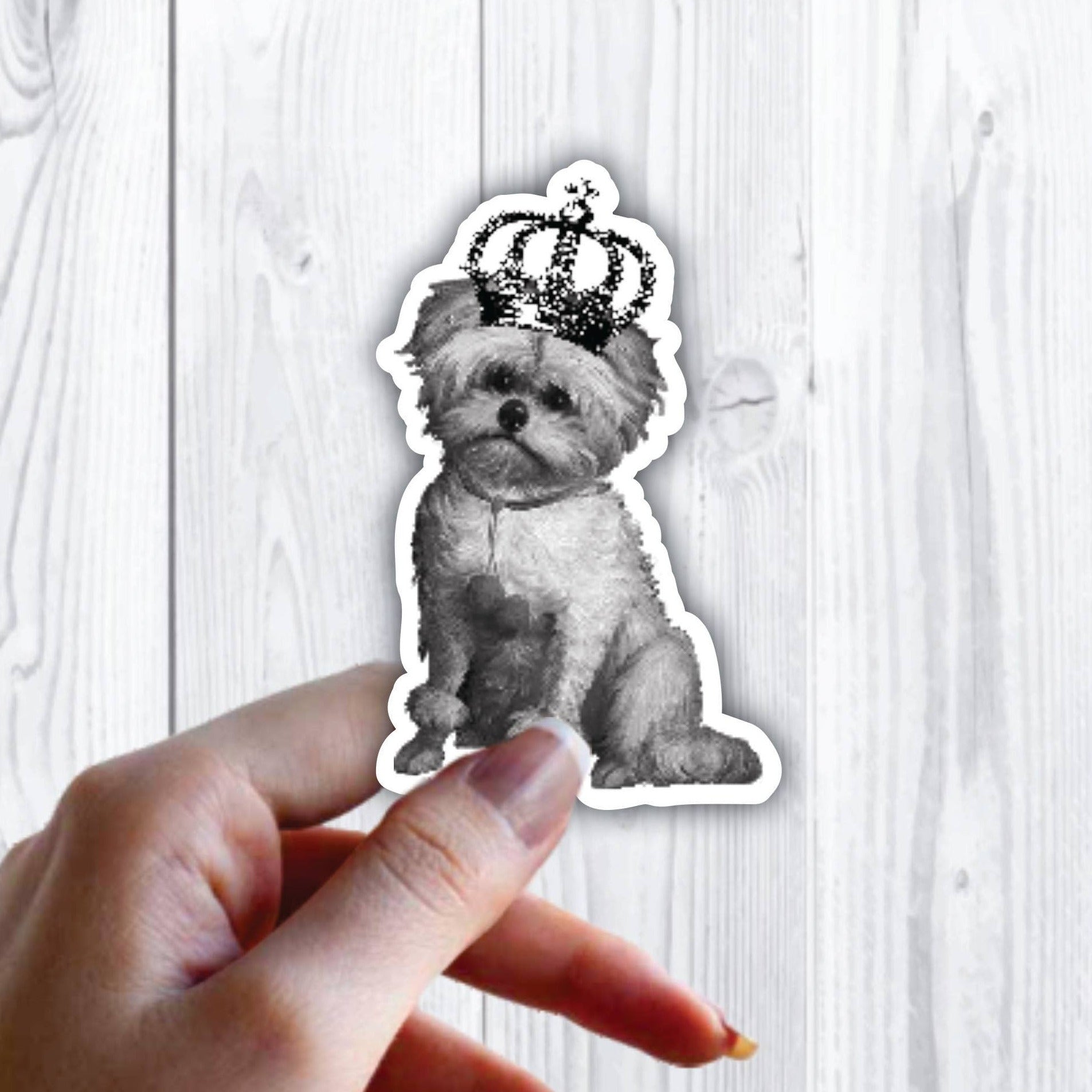 Maltese Dog Crown Sticker